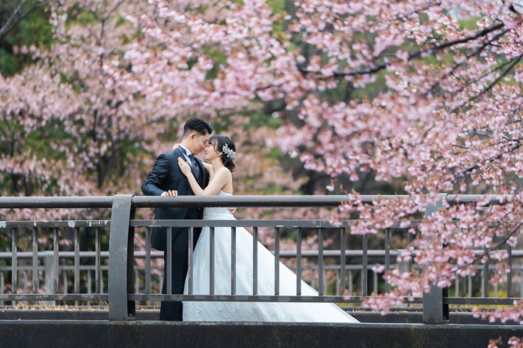 昭和記念公園で桜ロケーション！