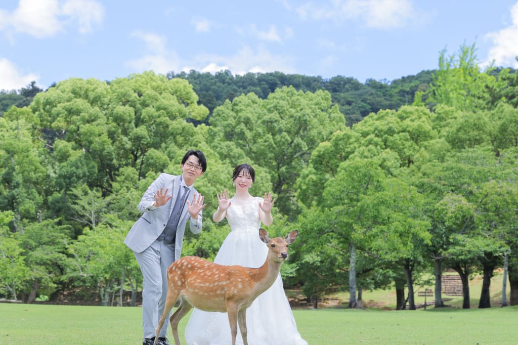 春日野園地・若草山ロケーション！