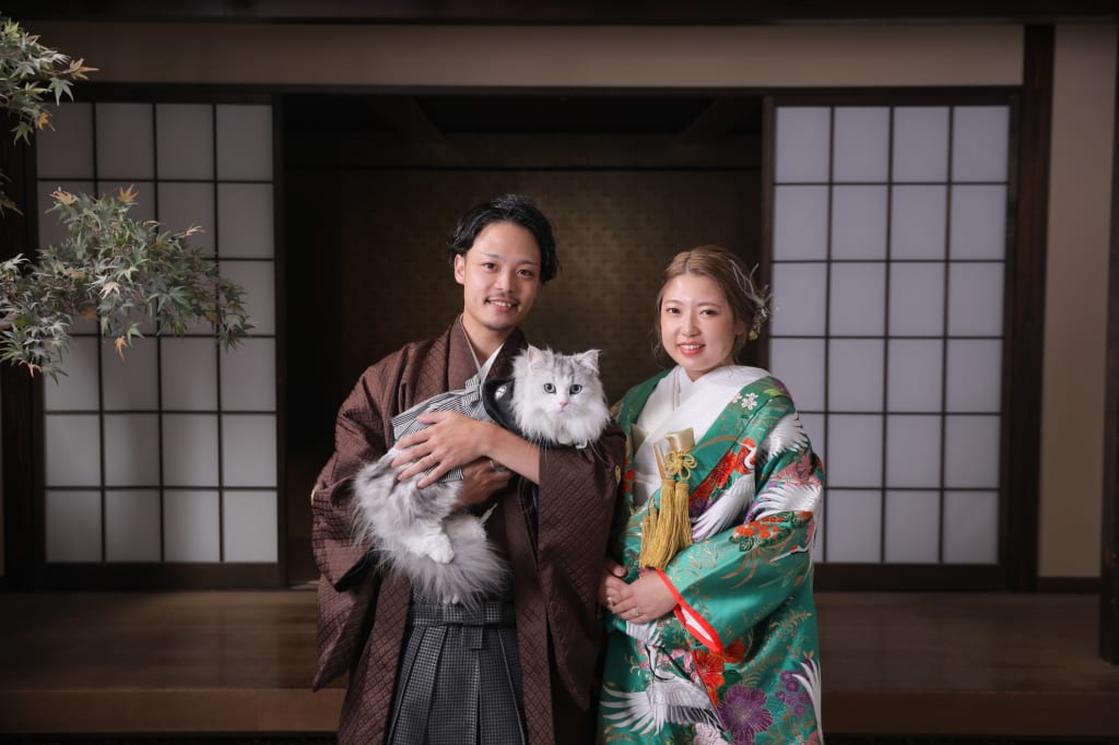 猫ちゃんと屋内庭園撮影