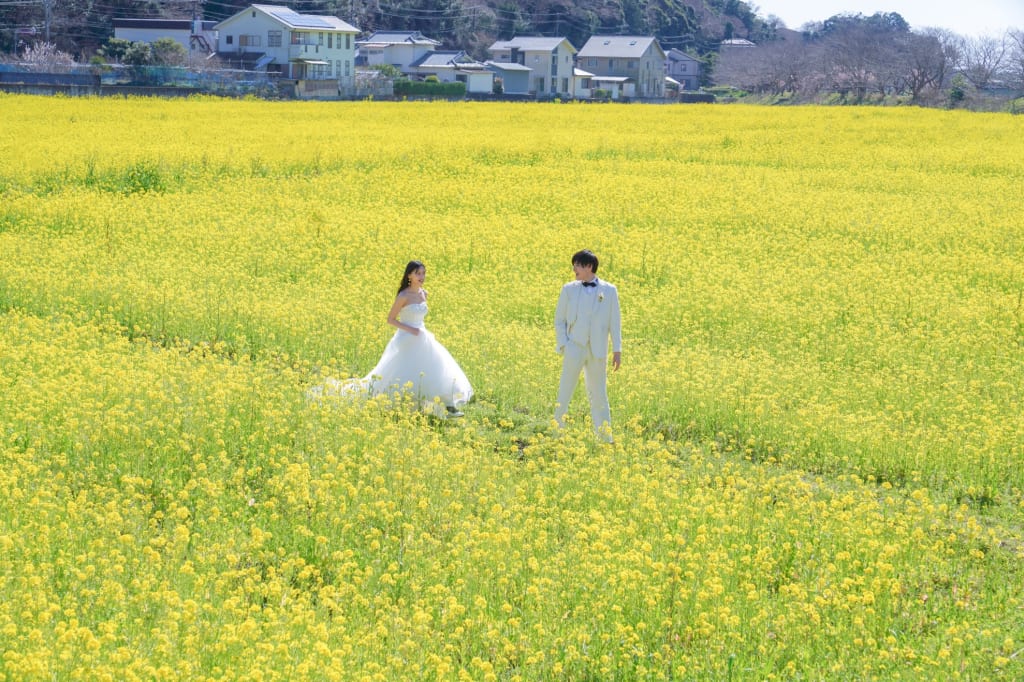 伊豆 河津桜【おまかせ3箇所以上】和装＆洋装満喫ロケーションプラン | フォトウェディング・前撮り・結婚写真