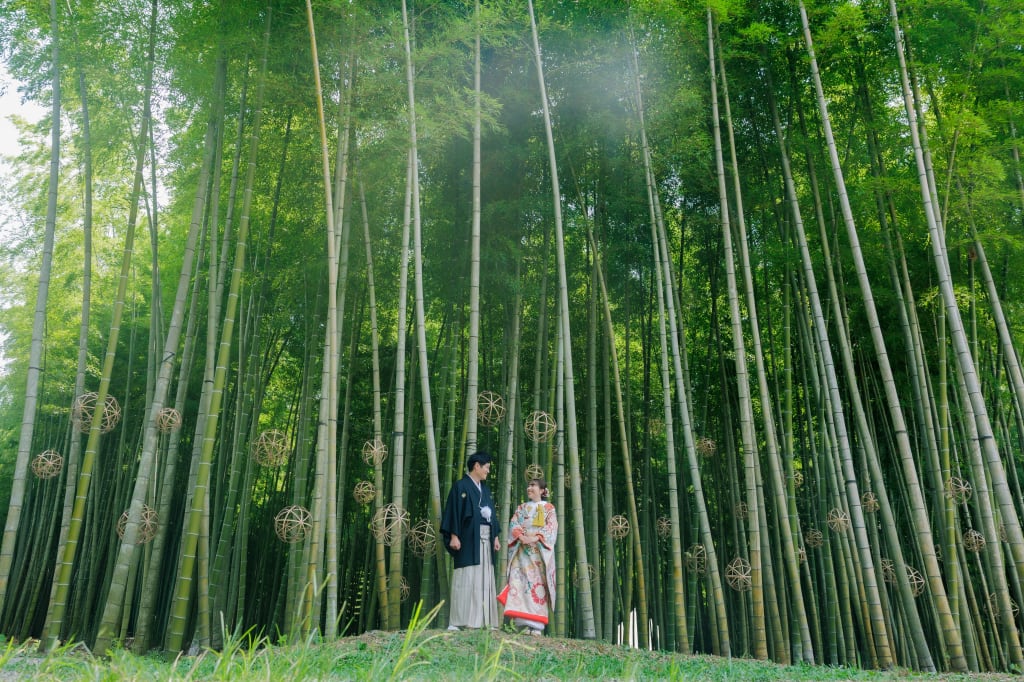 若竹の杜　若山農場ロケーションプラン | フォトウェディング・前撮り・結婚写真