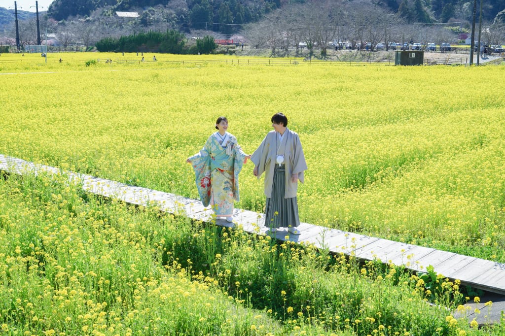 河津桜ロケーション