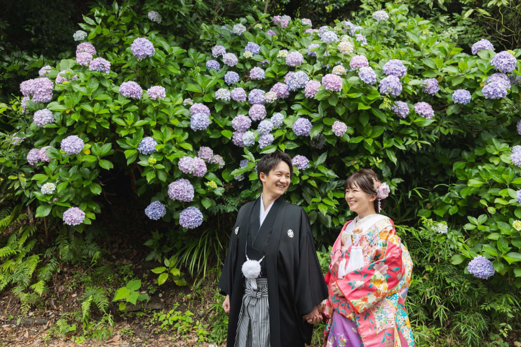 紫陽花の時期の鎌倉撮影！