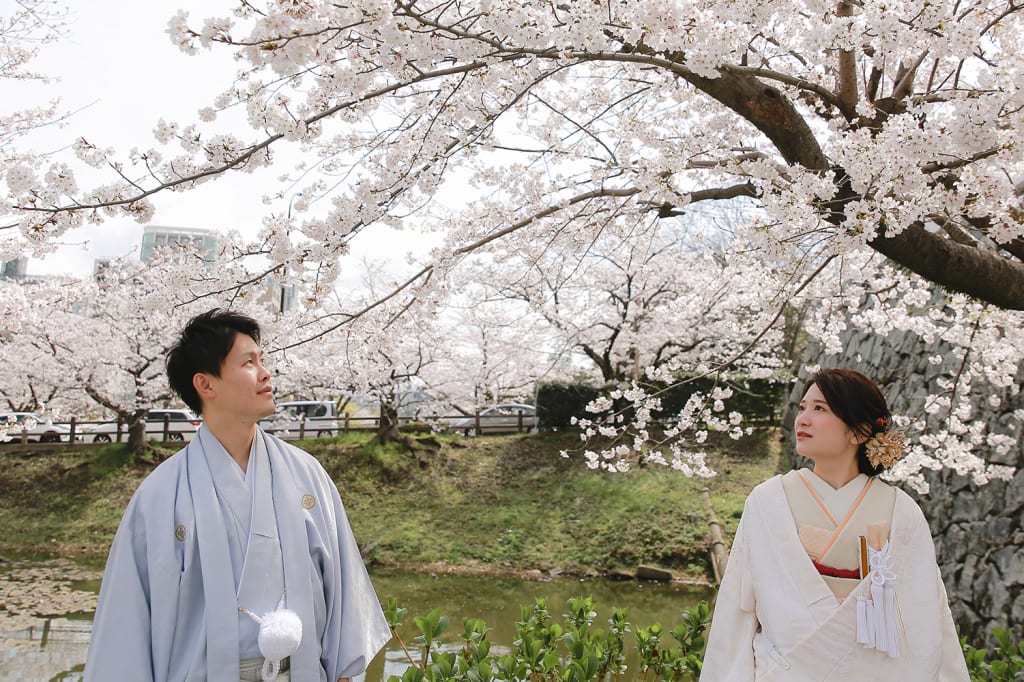 春爛漫、桜満開。