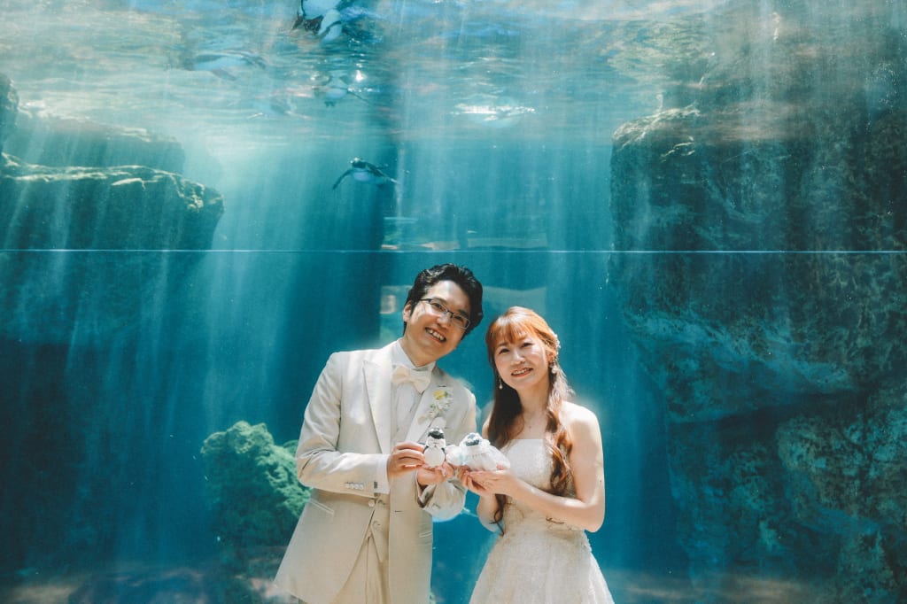 京都水族館プラン | フォトウェディング・前撮り・結婚写真