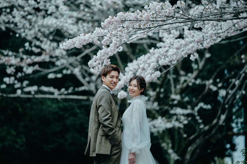 青葉の森公園,桜,ソメイヨシノ