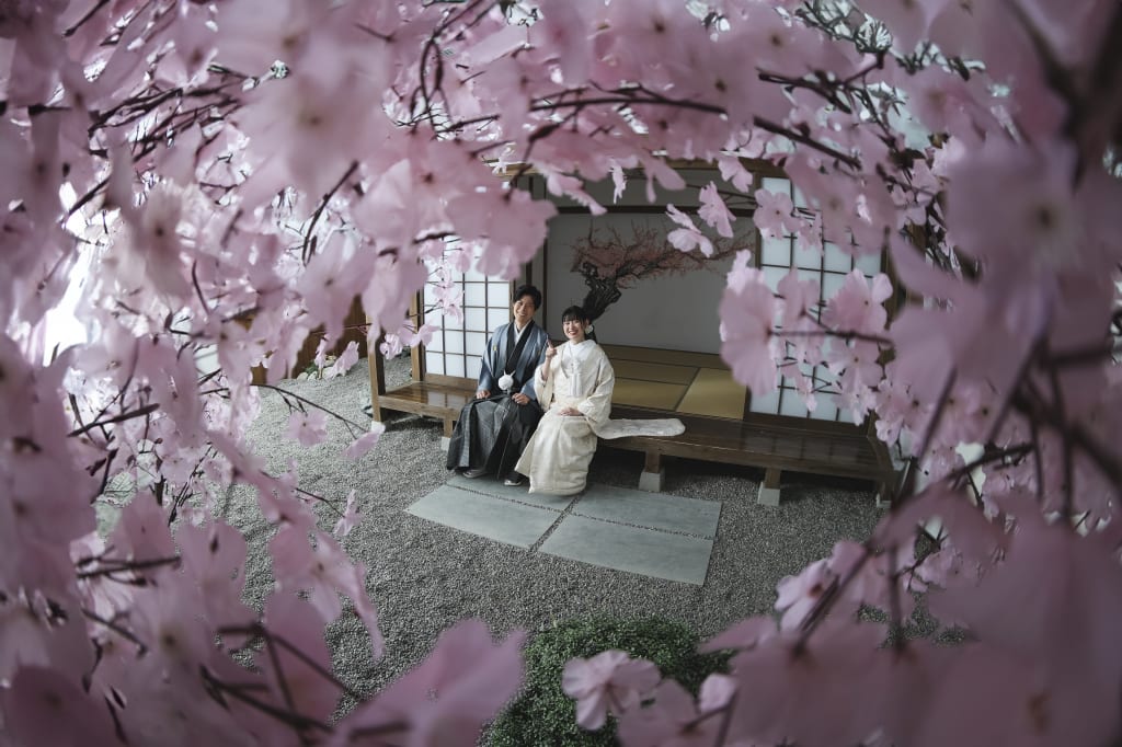 屋内庭園プラン！