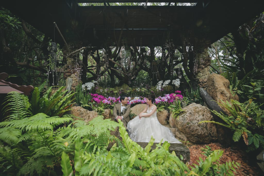 ビオスの丘 | デコルテフォトグラフィー | 前撮り・フォトウェディング