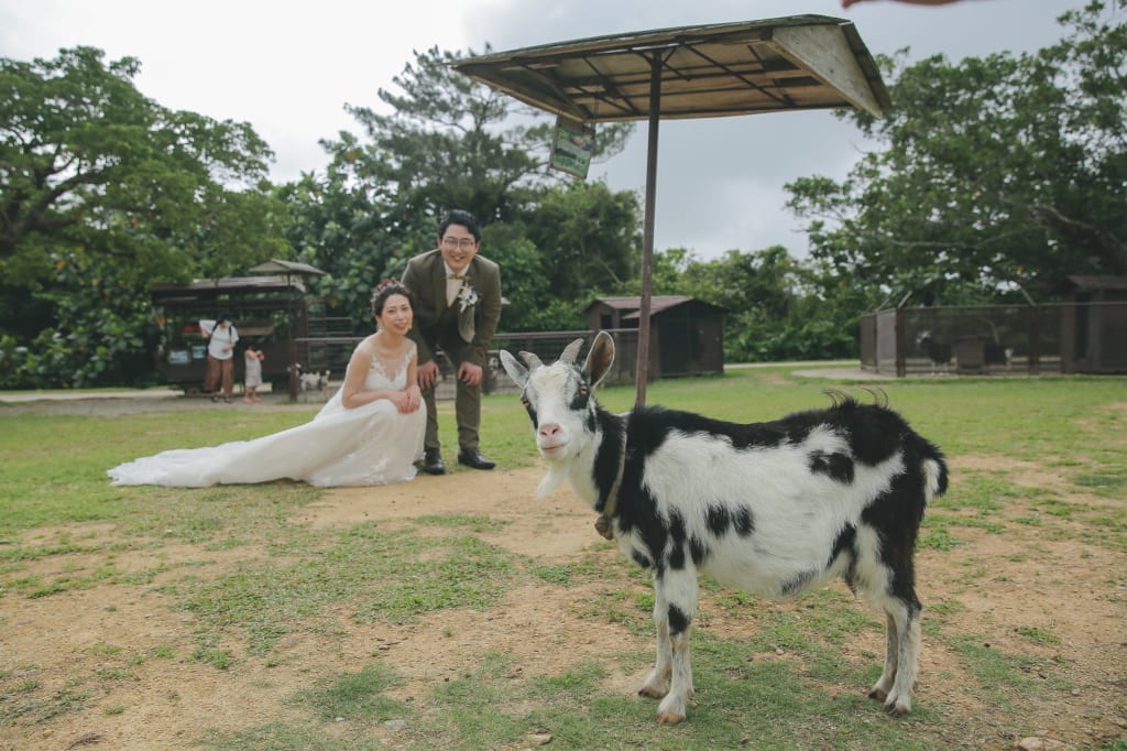 ビオスの丘 | デコルテフォトグラフィー | 前撮り・フォトウェディング