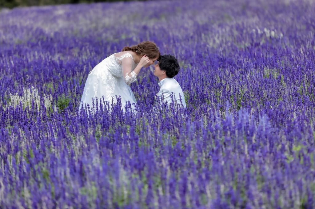 滝野すずらん丘陵公園ロケーションプラン | フォトウェディング・前撮り・結婚写真