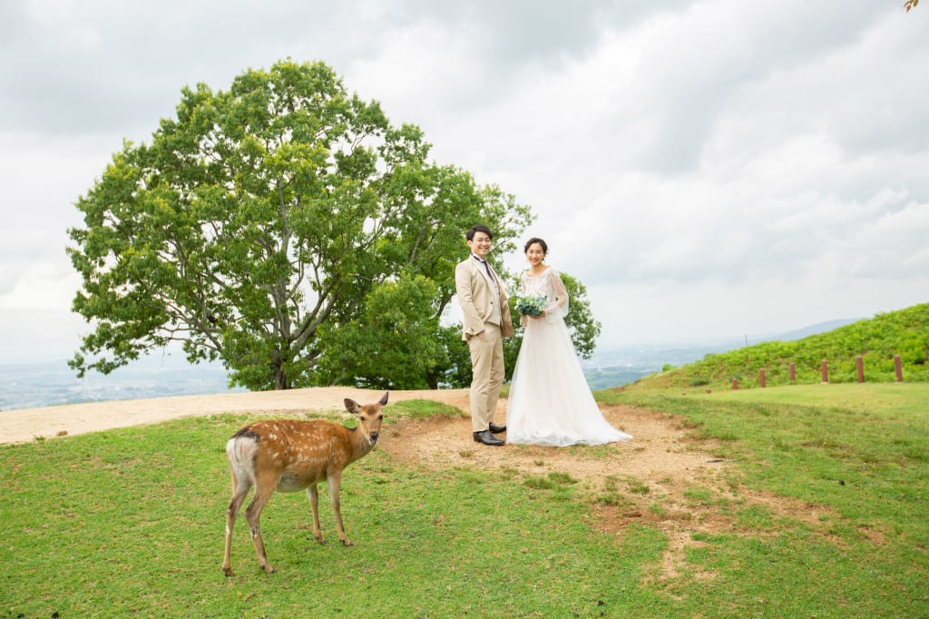 若草山ロケーションプラン | フォトウェディング・前撮り・結婚写真