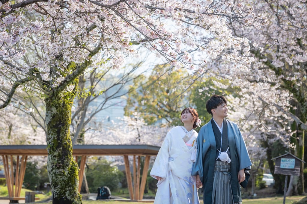 桜満開！浅間大社ロケーション撮影