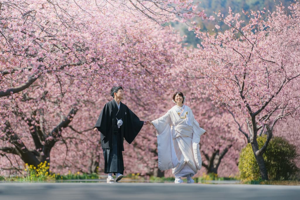 伊豆 河津桜和装ロケーションプラン | フォトウェディング・前撮り・結婚写真