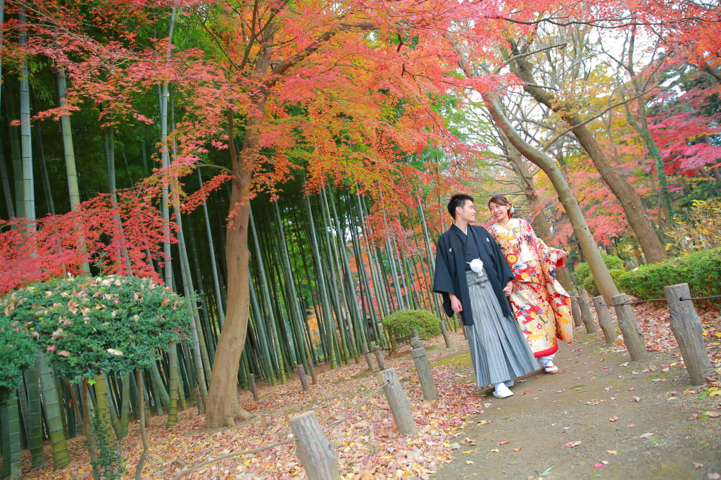 蘆花恒春園