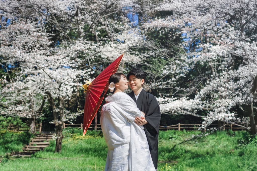和装で残す、日本の桜風景