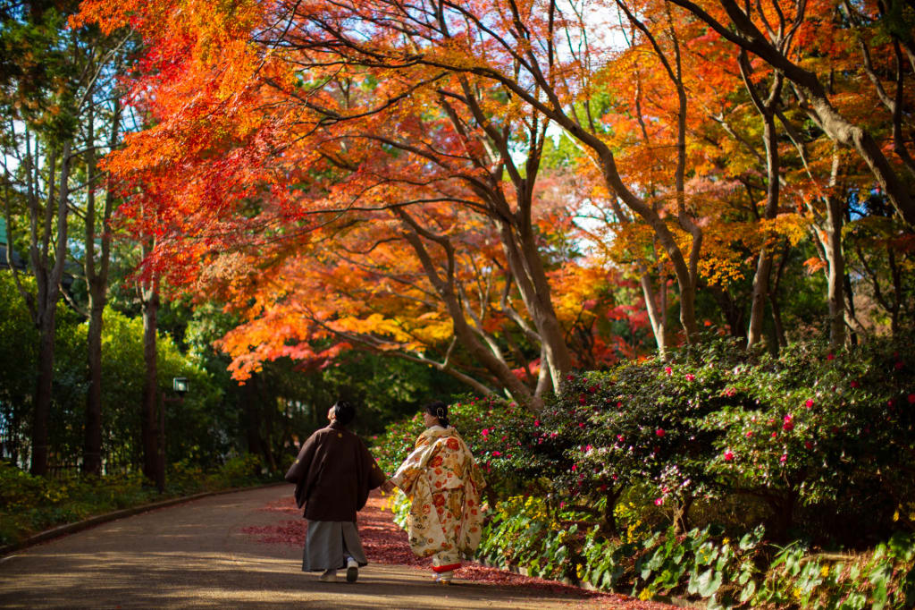 須磨離宮公園ロケーションプラン | フォトウェディング・前撮り・結婚写真