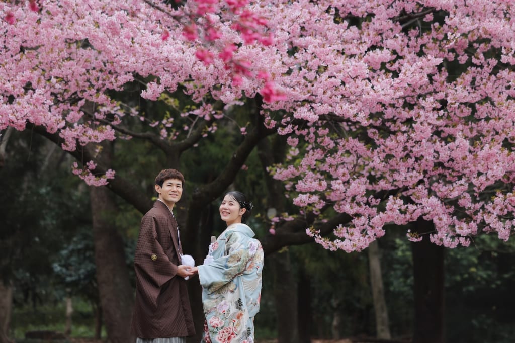 桜ロケーション