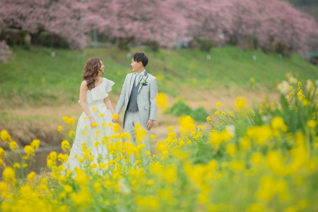 河津桜（南伊豆） | デコルテフォトグラフィー | 前撮り・フォトウェディング