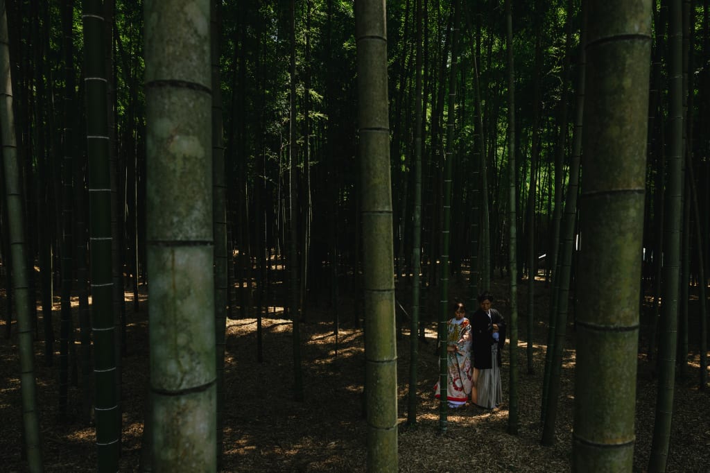 若竹の杜　若山農場ロケーションプラン | フォトウェディング・前撮り・結婚写真