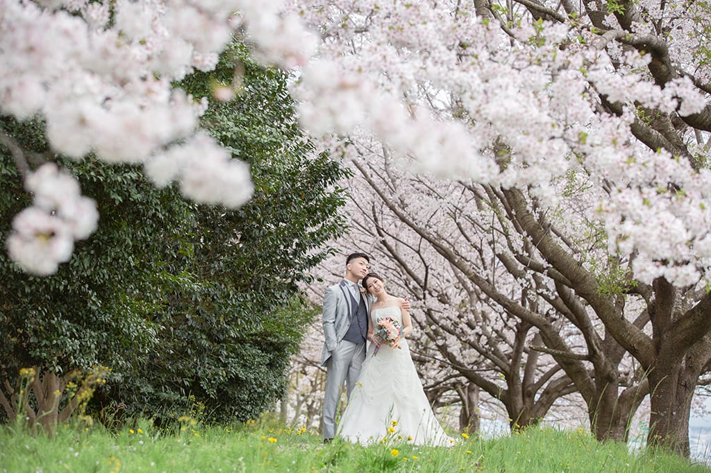 桜ロケーションとウェディングドレスで