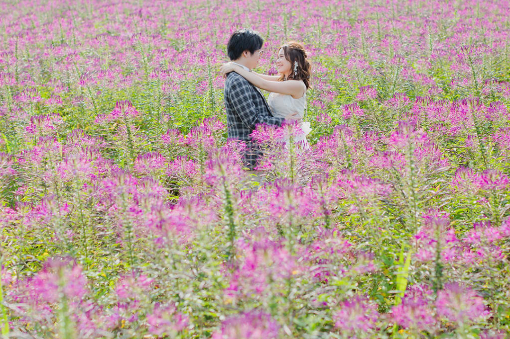 富良野 or 美瑛の花畑＋もう一箇所プラン | フォトウェディング・前撮り・結婚写真