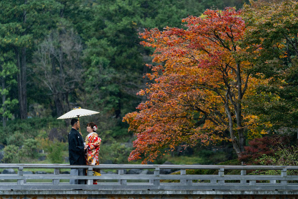 紅葉が見頃に
