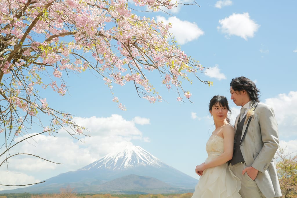 春の富士山で華やかな撮影しませんか？🌸