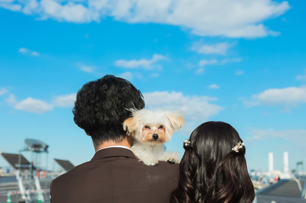 わんちゃんと一緒に青空の下　　photo　by　谷澤明美