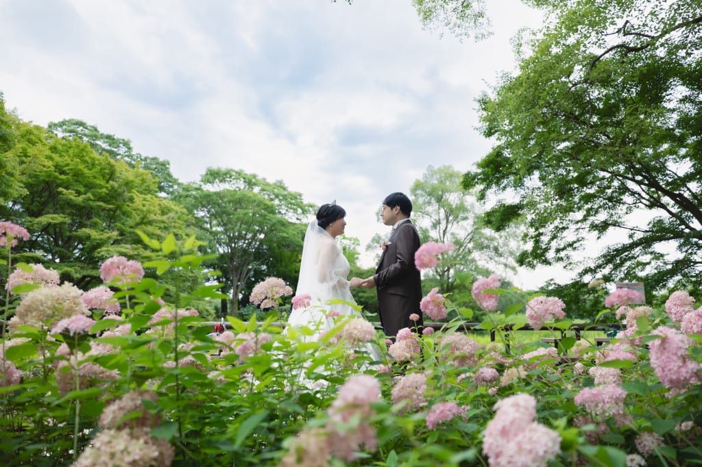 紫陽花・新緑