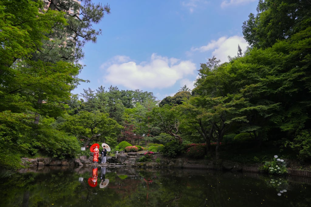 夏の甘泉園公園