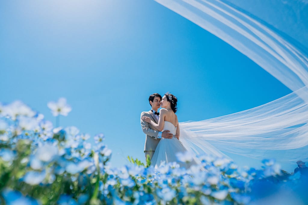 国営ひたち海浜公園 | デコルテフォトグラフィー | 前撮り・フォトウェディング