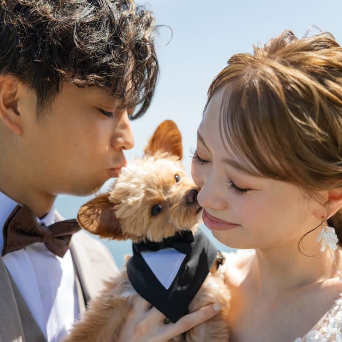 愛犬と過ごす 特別な日