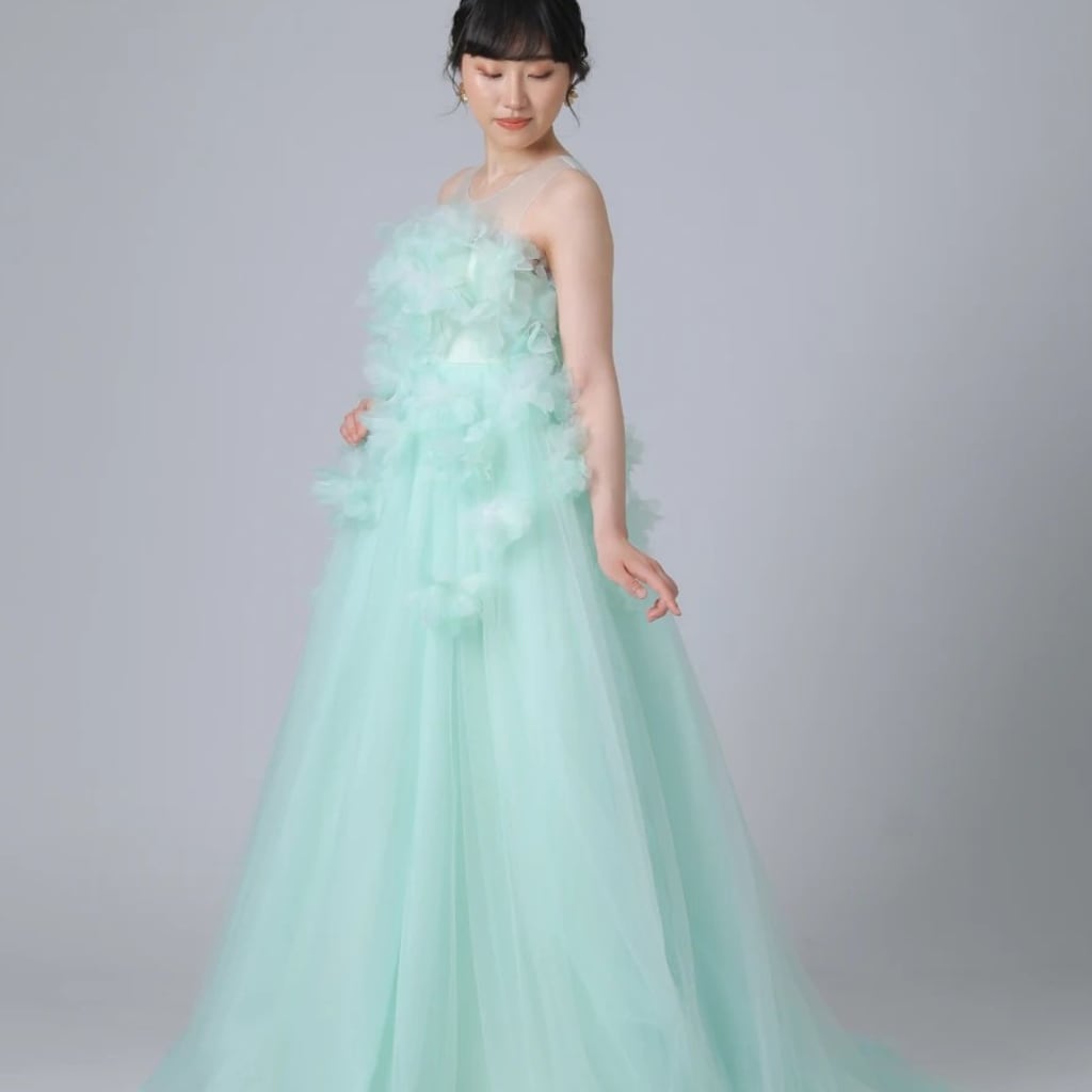 AYS-1107GR