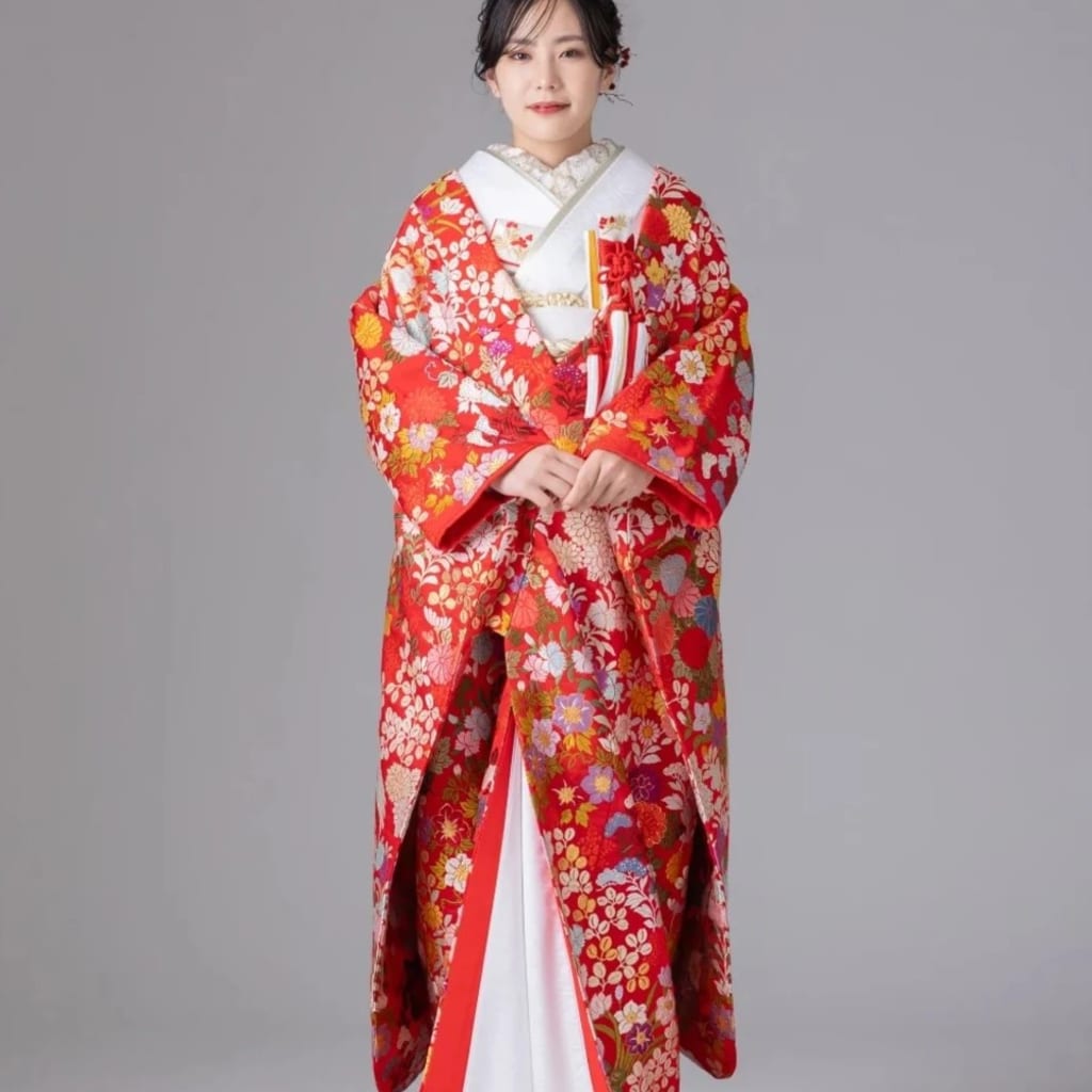 赤　鶴　菊