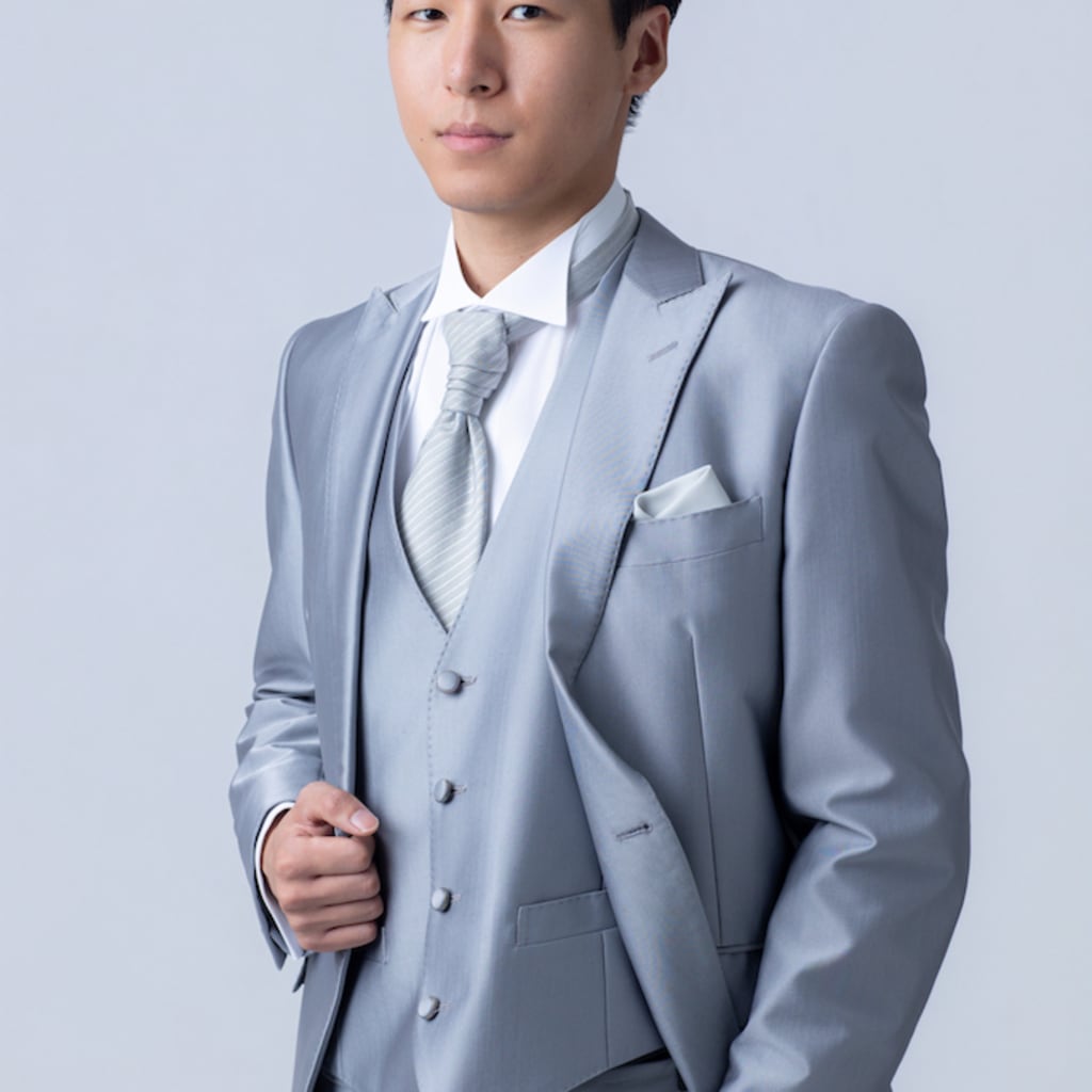 ライトグレーシルバータイ