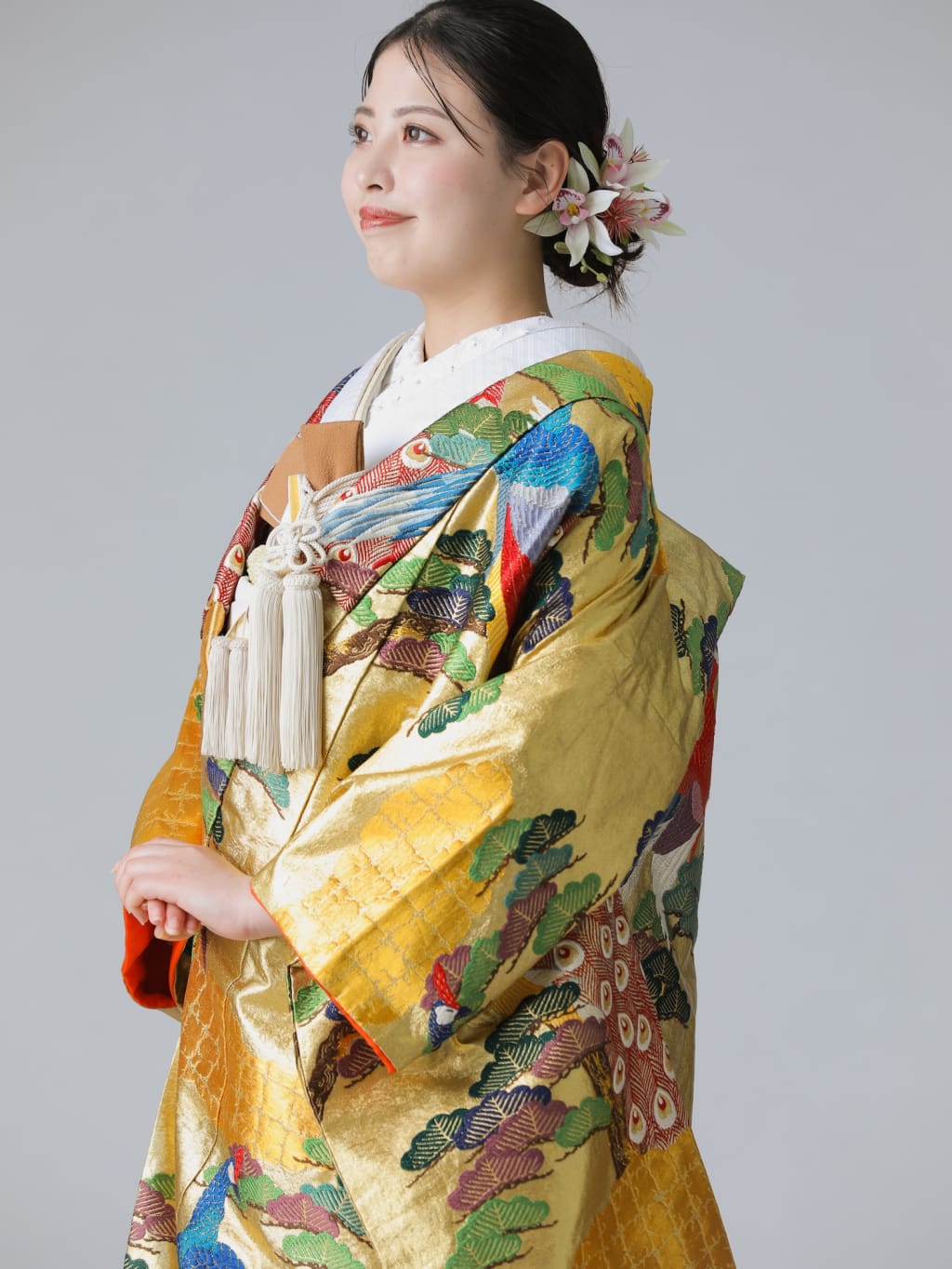 金雲取紋様 孔雀 松 / ゴールド