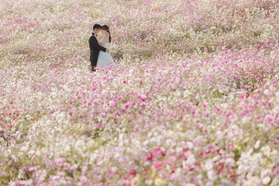 【秋限定 花ロケ】花さじきロケーション（神戸店：神戸発）