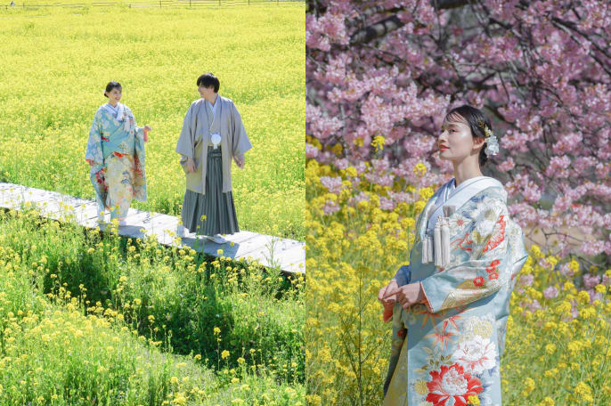 伊豆 河津桜【選べる2箇所】 和装ロケーション