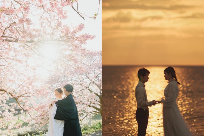 淡路島 河津桜【3箇所】和装＆洋装ロケーション