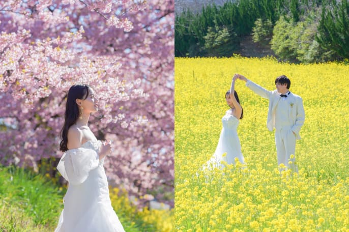 伊豆 河津桜【選べる2箇所】 洋装ロケーション