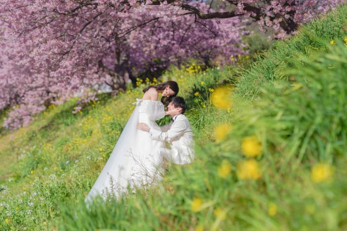 伊豆 河津桜洋装ロケーション