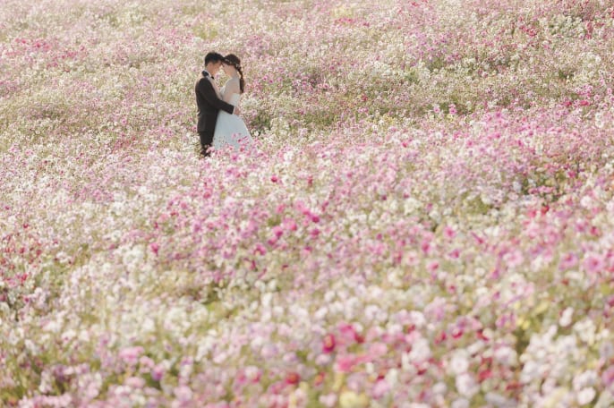【秋限定 花ロケ】花さじきロケーション（神戸店：神戸発）