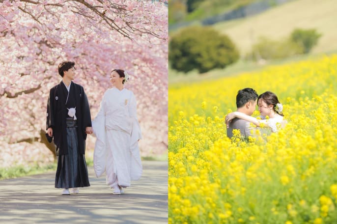 淡路島 河津桜【2箇所】和装＆洋装ロケーション