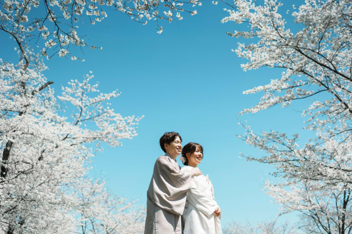 桜ロケーションプラン