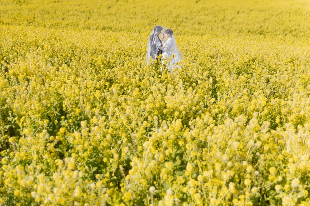 花さじきロケーション（神戸店：神戸発）