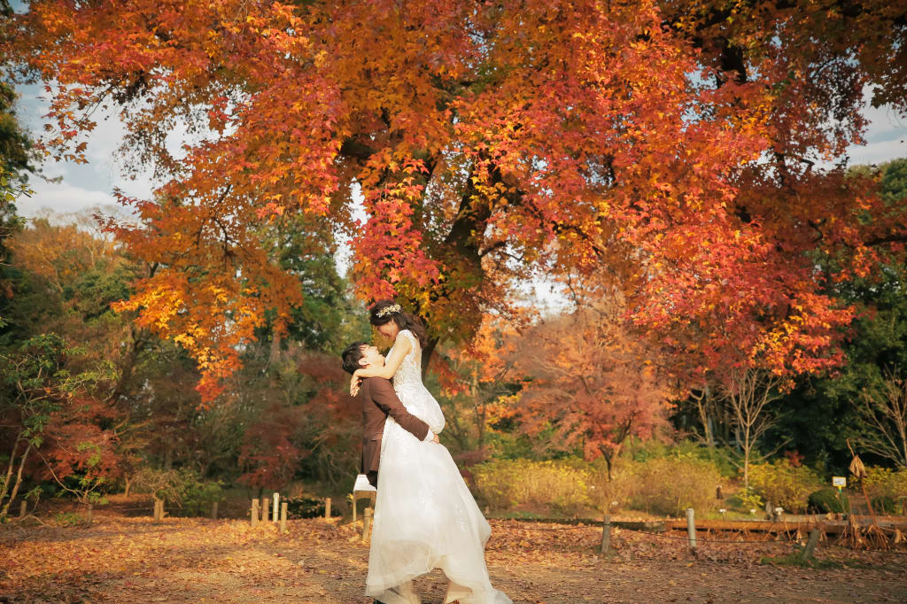 京都府立植物園ロケーションプラン | フォトウェディング・前撮り・結婚写真