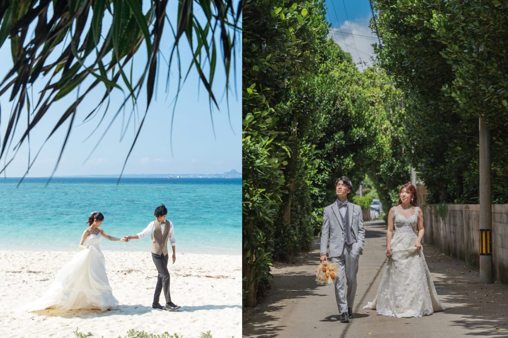 北部ビーチ＋フクギ