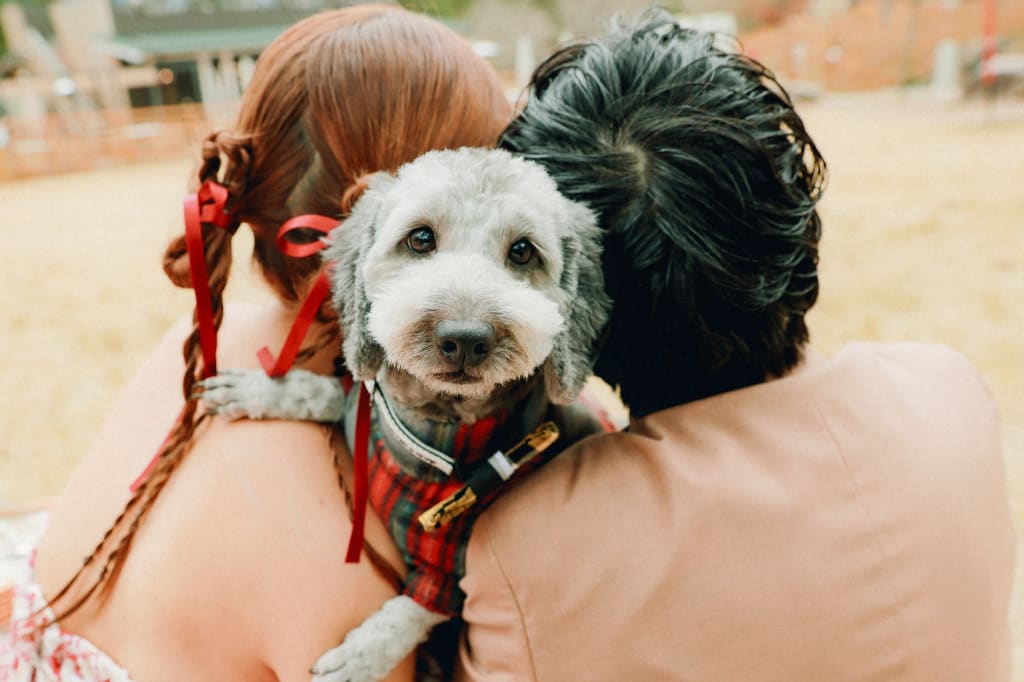 GROUND ROCK CASTLEロケーションプラン | フォトウェディング・前撮り・結婚写真