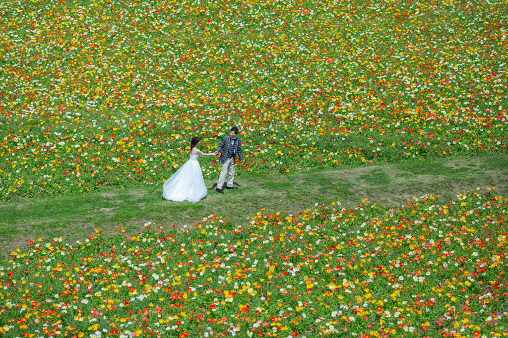 淡路島ロケーション（梅田店：大阪発）プラン | フォトウェディング・前撮り・結婚写真