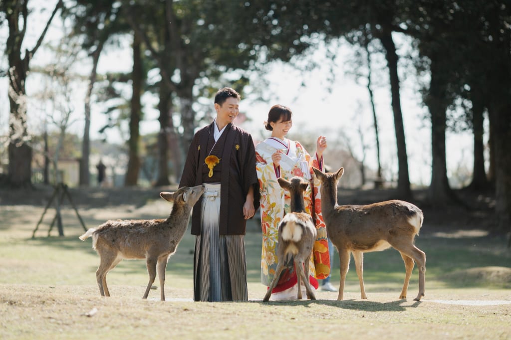 奈良公園ロケーションプラン | フォトウェディング・前撮り・結婚写真